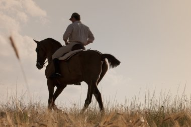 Rider and his horse