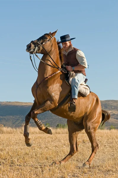 Rider and his horse — Stockfoto