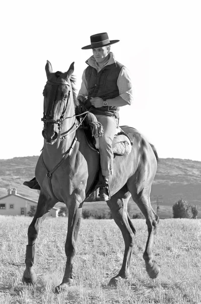 Cavalier et son cheval — Photo