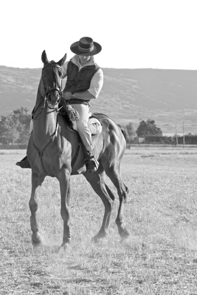 Αναβάτης και το άλογό του — Φωτογραφία Αρχείου
