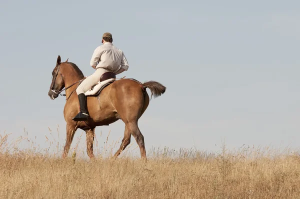 Jezdcem a koněm — Stock fotografie