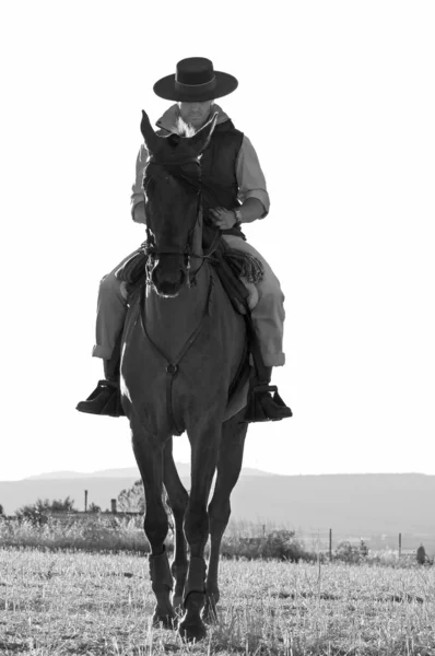 ライダーと彼の馬 — ストック写真