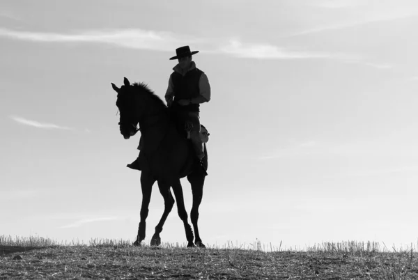 Ryttare och hans häst — Stockfoto