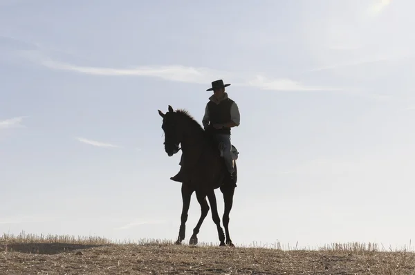 Cavaleiro e seu cavalo — Fotografia de Stock