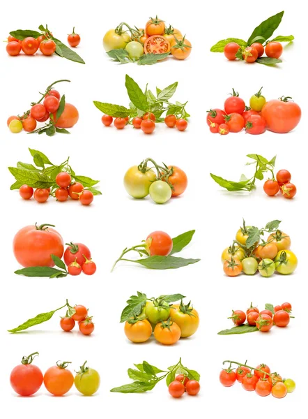 Ekolojik domates — Stok fotoğraf