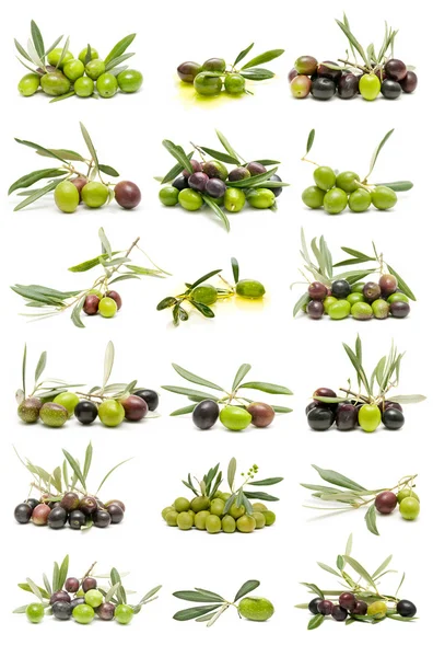 新鲜橄榄 — 图库照片