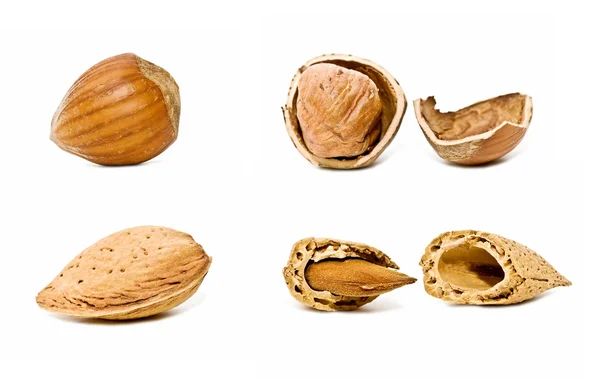 Hasselnötter och mandlar — Stockfoto