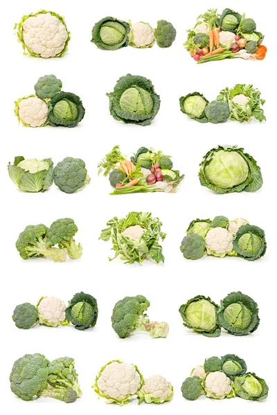 Blumenkohl, Kohl und Brokkoli — Stockfoto