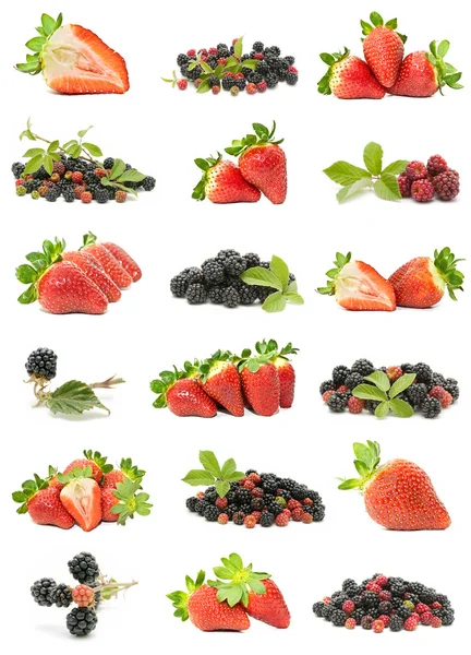 Divoké ovoce — Stock fotografie