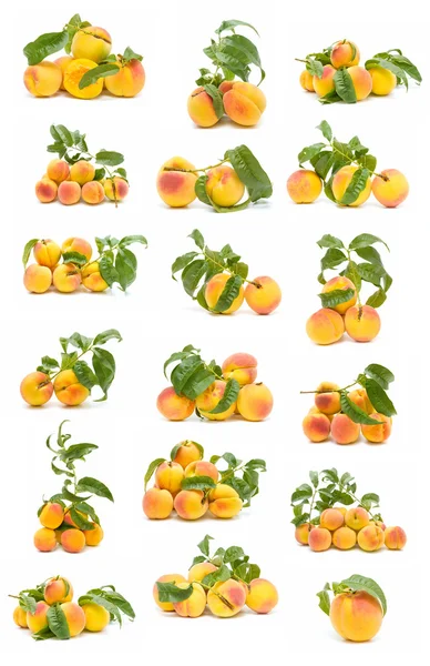 Ekologiska persikor — Stockfoto