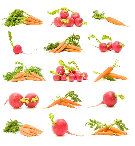 Rábanos y zanahorias —  Fotos de Stock