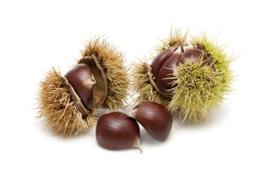 Freshly harvested chestnuts clipart