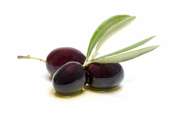 Três azeitonas frescas banhadas em azeite — Fotografia de Stock