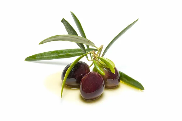 Оливковая ветвь с тремя оливками — стоковое фото