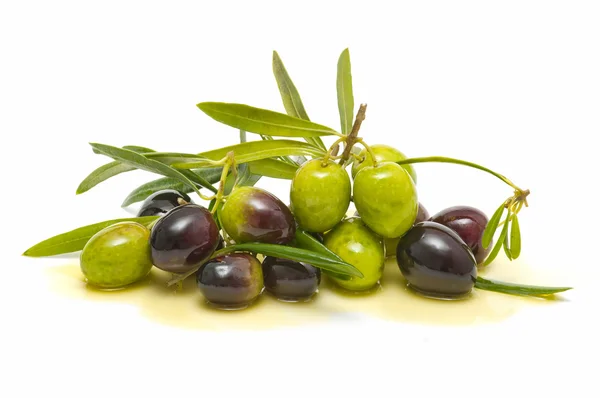 Variedad de aceitunas frescas con aceite de oliva —  Fotos de Stock