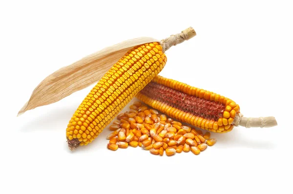 Hojas de maíz y granos de maíz —  Fotos de Stock