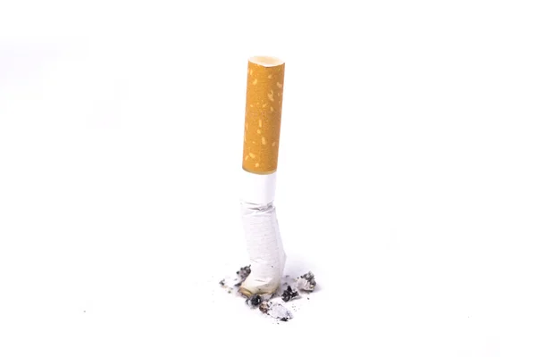 Single cigarette butt with ash Royalty Free Stock Images