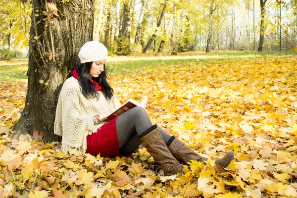 Piękna kobieta, czytanie książki w jesień Park — Zdjęcie stockowe