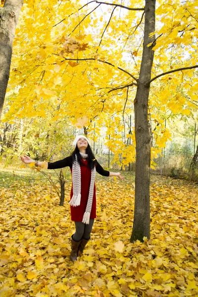 Young beautiful woman throwing the yellow leafs — Stock Photo, Image