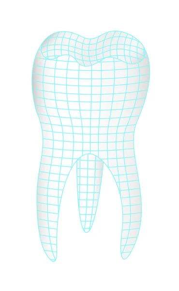 Zdravý zub — Stockový vektor