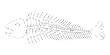 Fish bones – skeleton clipart