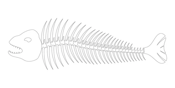Рыбные кости - скелет — стоковый вектор