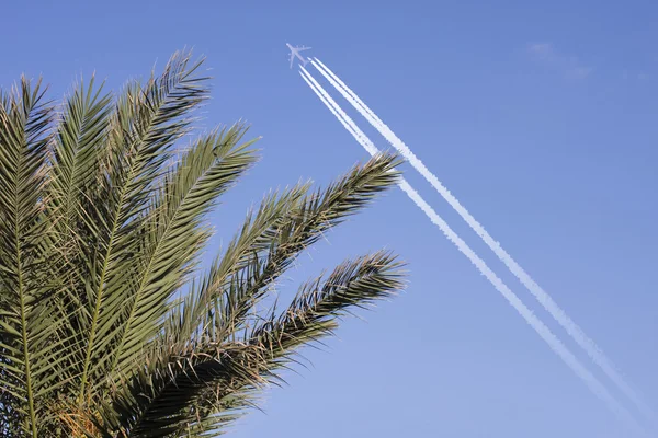 Airplane above palm tree — Stock Photo, Image