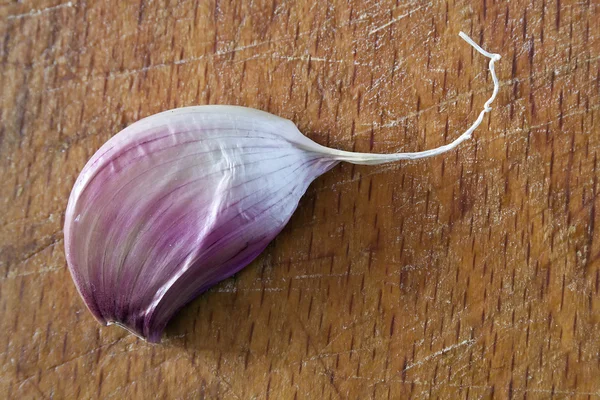 紫大蒜 — 图库照片