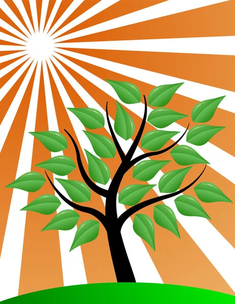 Puu tyylitelty auringonpurkaus — vektorikuva
