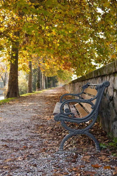 stock image Bench fall