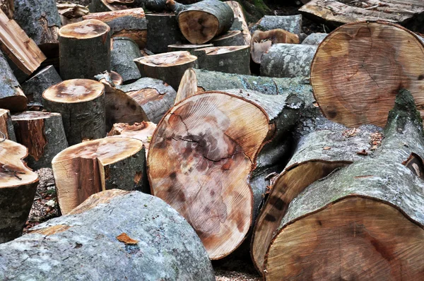 stock image Greenhouse effect due to cut trees