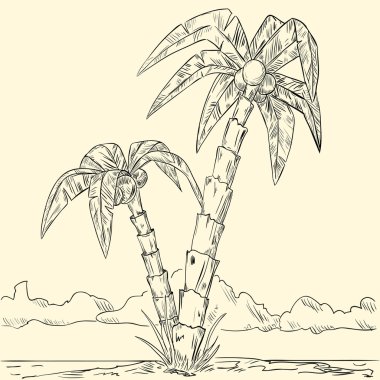Okyanustaki adada tropikal palmiye kroki