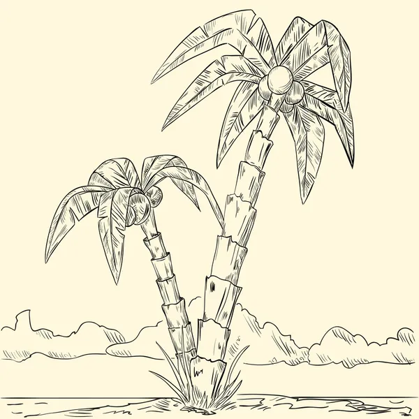 海の島の熱帯のヤシのスケッチ — ストックベクタ