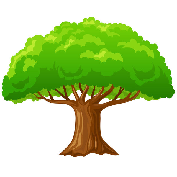 Cartoon big green tree isolated on white. — Stock Vector