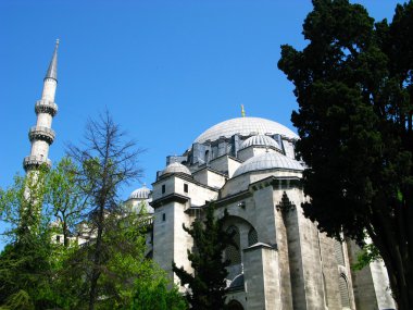 instanbul, Türkiye'de Mosk