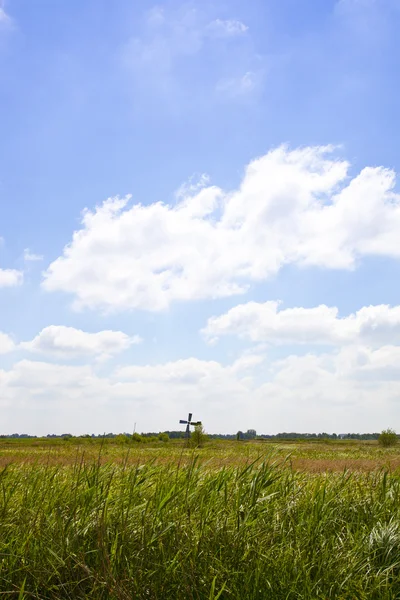 Красивый голландский пейзаж с высокой травой и мельницей — стоковое фото