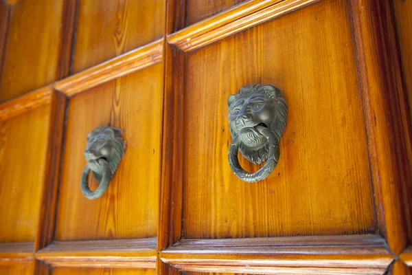 Дверная ручка со львиной головой на деревянной двери — стоковое фото