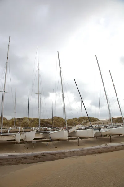 Vários barcos katamaran na praia — Fotografia de Stock