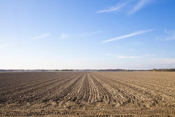 Dutch agriculture landscape with blue sky — Stock Photo, Image