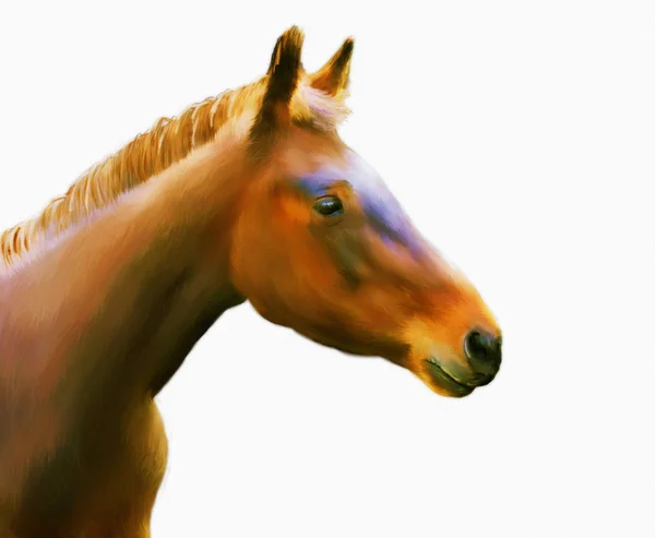 Häst målning — Stockfoto