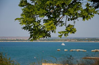 Rusya'nın Karadeniz