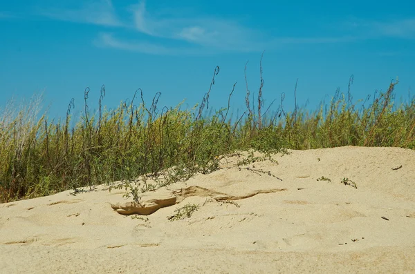 ロシア アナパの砂丘 — ストック写真
