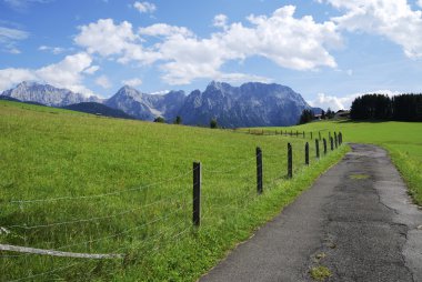 Alp yolu