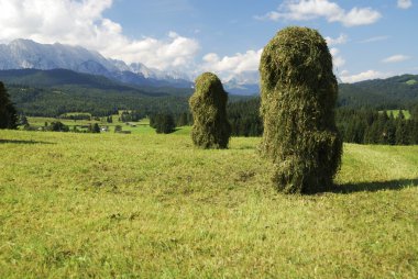 haystacks