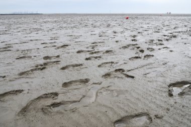 The Wadden Sea clipart