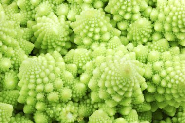 Romanesco