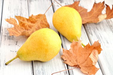 Ripe Pears clipart