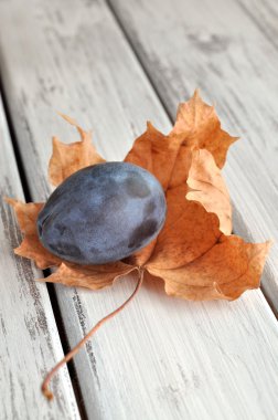 Plum on Leaf clipart