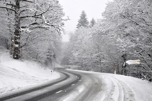 Strada attraverso la foresta invernale — Foto Stock
