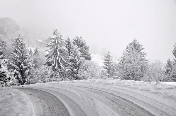 Дорога в туманную зиму — стоковое фото